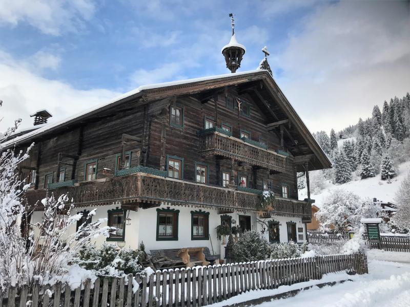 Wohnung in der Nähe von 2 Skigebieten