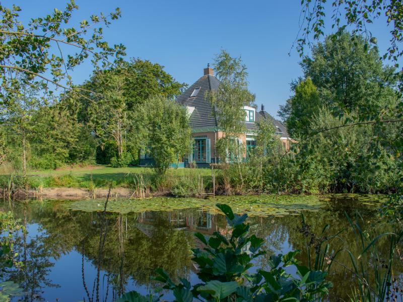 Rural villa with swimming pond and sauna
