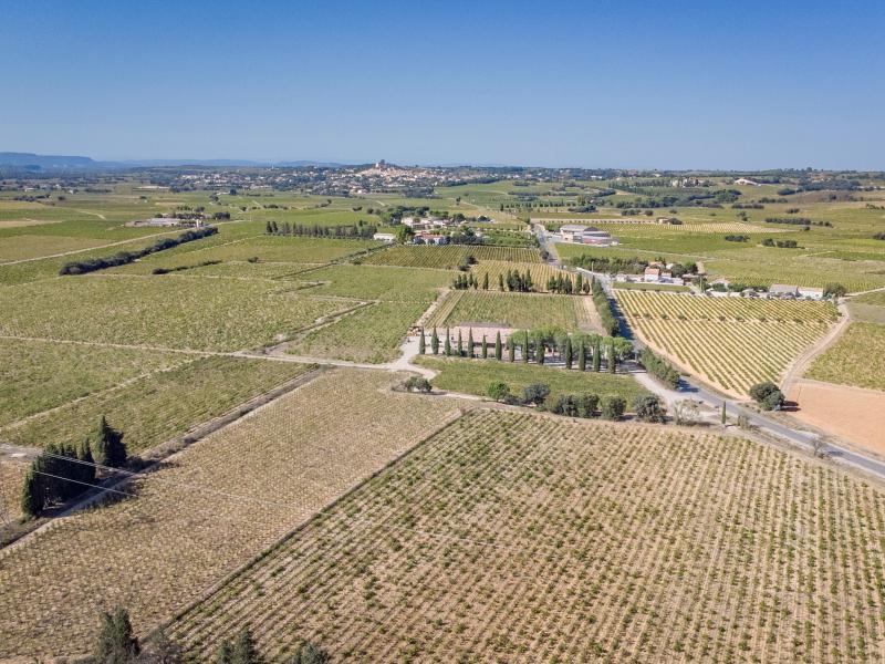 Ferienhaus mit Klima in schöner Weinregion