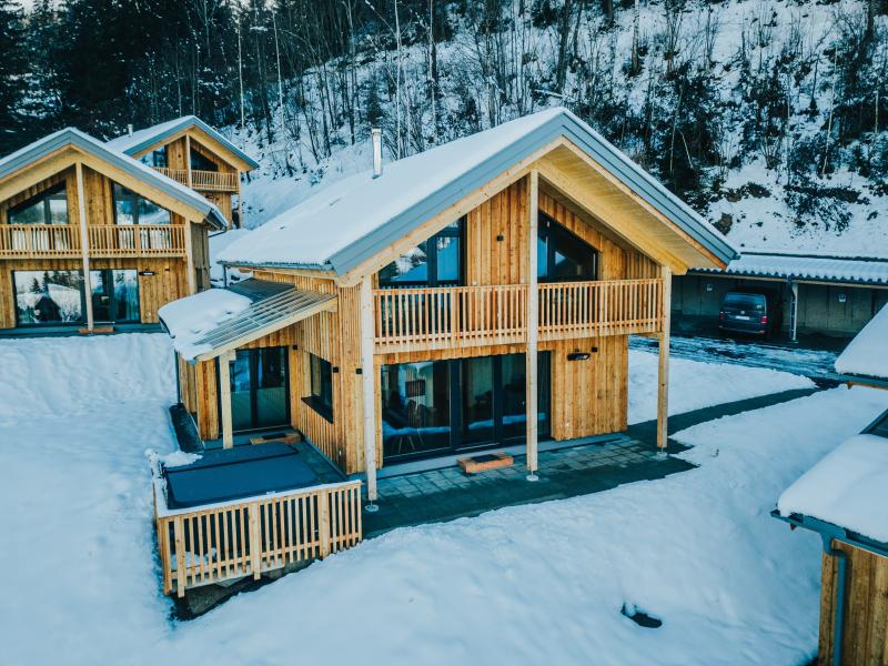 Chalet Woody 19