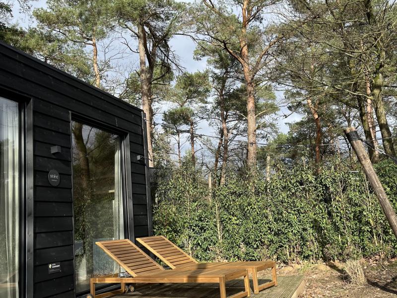 Cosy tiny house in the middle of the Veluwe