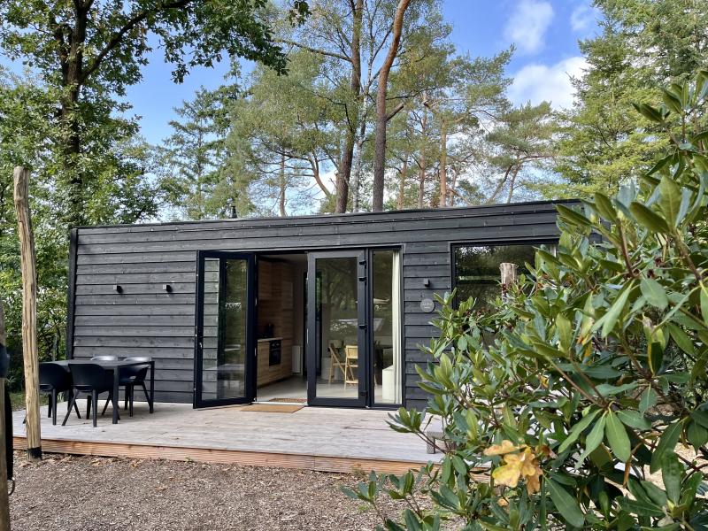 Cosy tiny house in the middle of the Veluwe