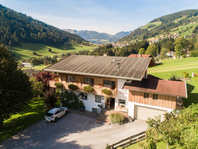 Spacious flat not far from the ski area

