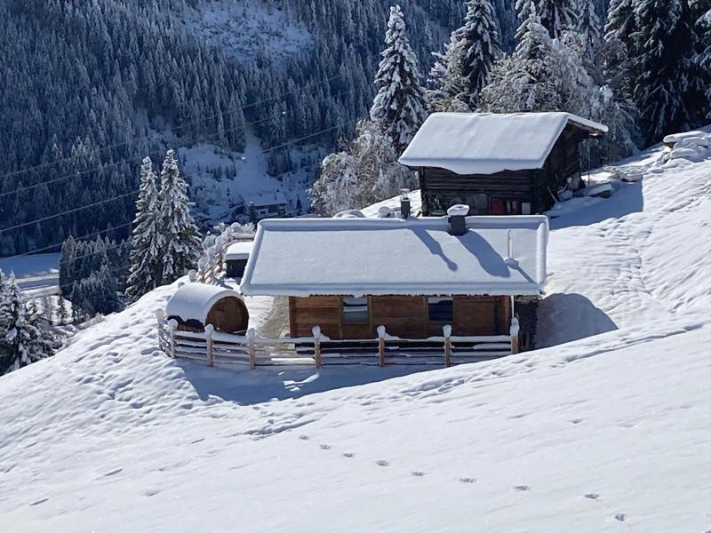 Chalet with whirlpool & sauna on the ski slope