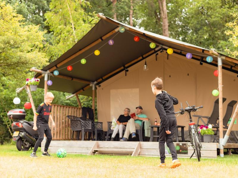 Safarizelt auf der Veluwe mit Terrasse