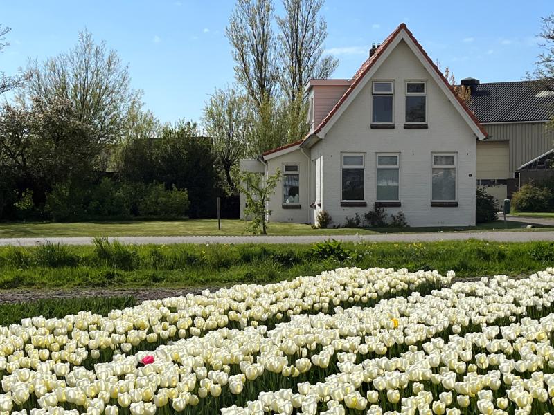 Vrijstaand familiehuis met bollenzicht