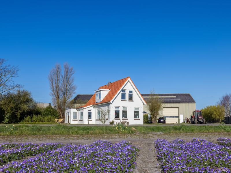 Vrijstaand familiehuis met bollenzicht