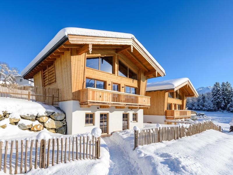 Twee perfecte chalets met sauna en open haard