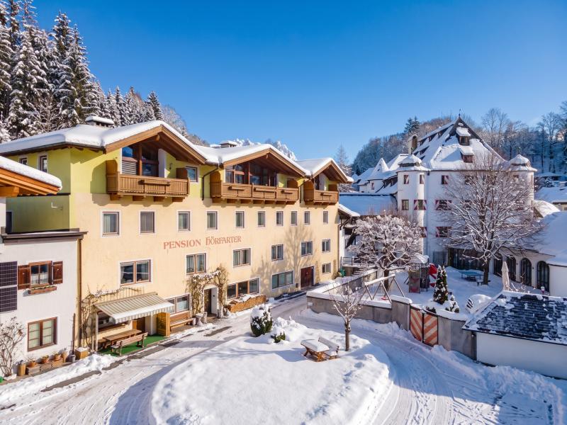 Grote moderne vakantiewoning bij de skibus