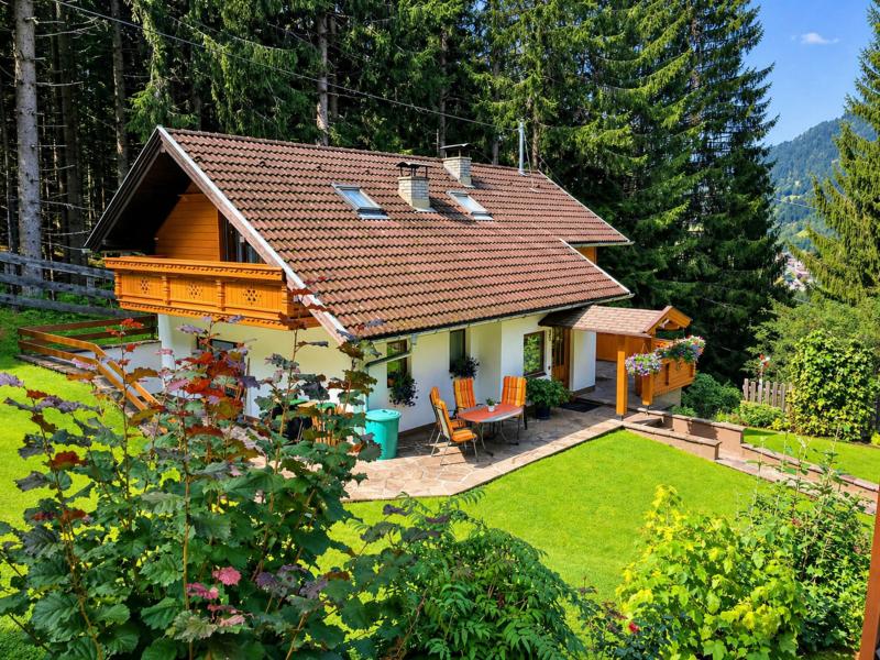 Ruim landhuis tussen skigebieden en bergen