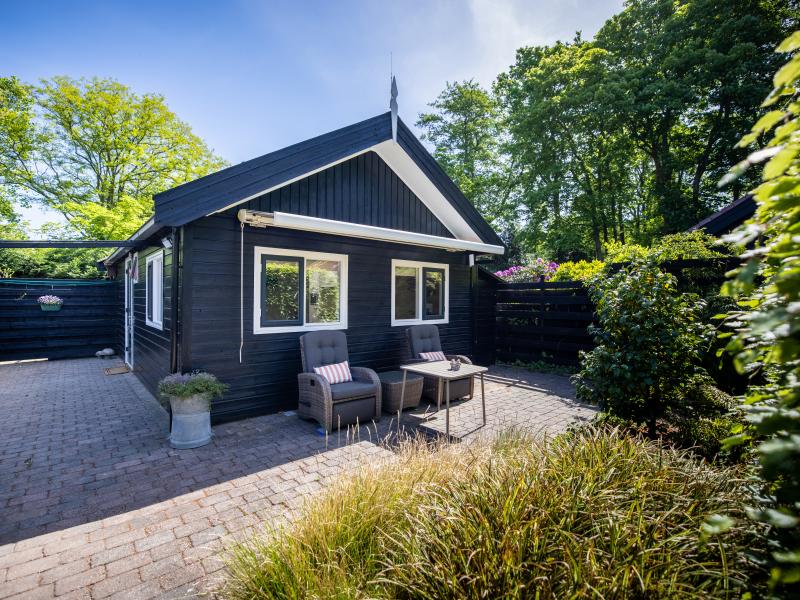 Sfeervolle woning aan de rand van de duinen