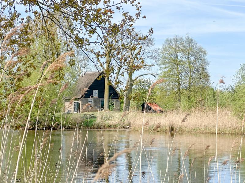 Uniek huisje omgeven door water bij de Biesbosch