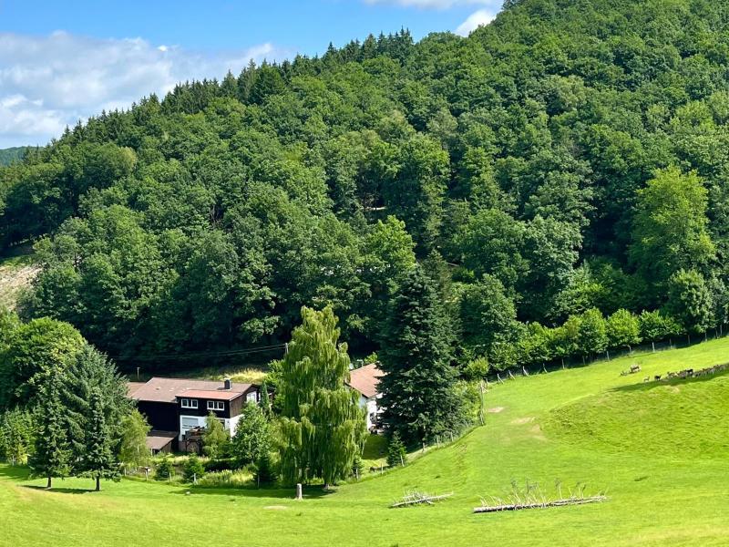 Vakantiewoning in Sauerland op het platteland