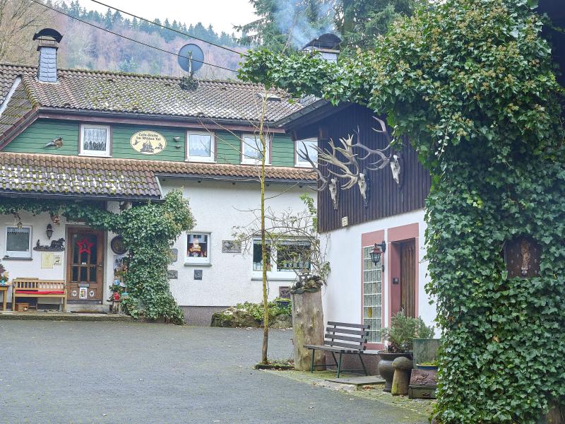 Vakantiewoning in Sauerland op het platteland