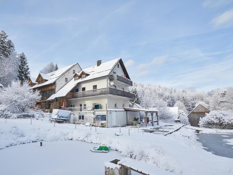 Ferienhaus in Schönsee (Deutschland) und 1 Hund erlaubt