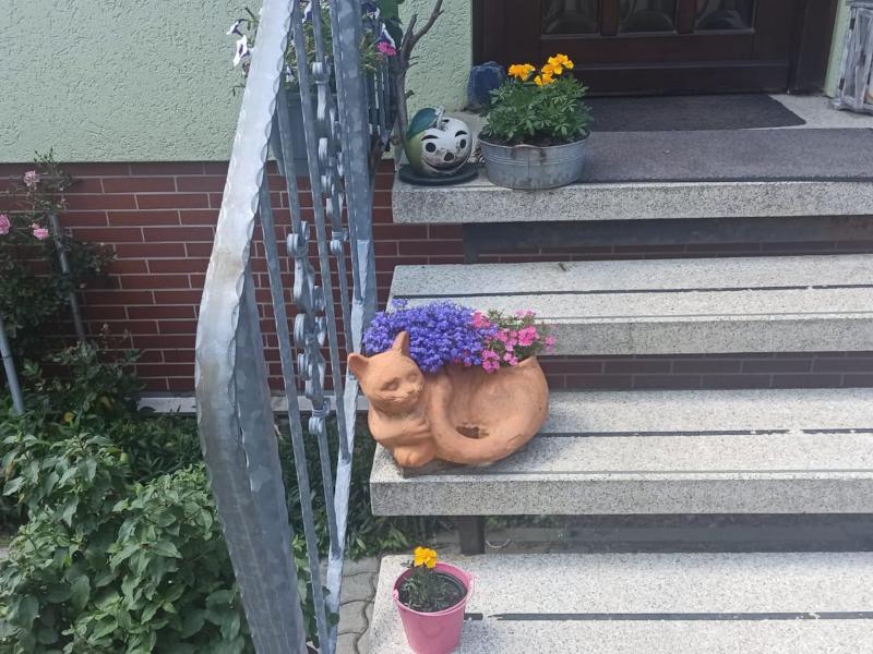 Foto 29