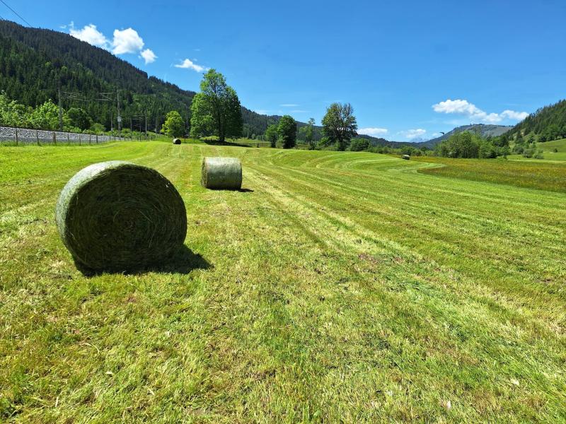Foto 50