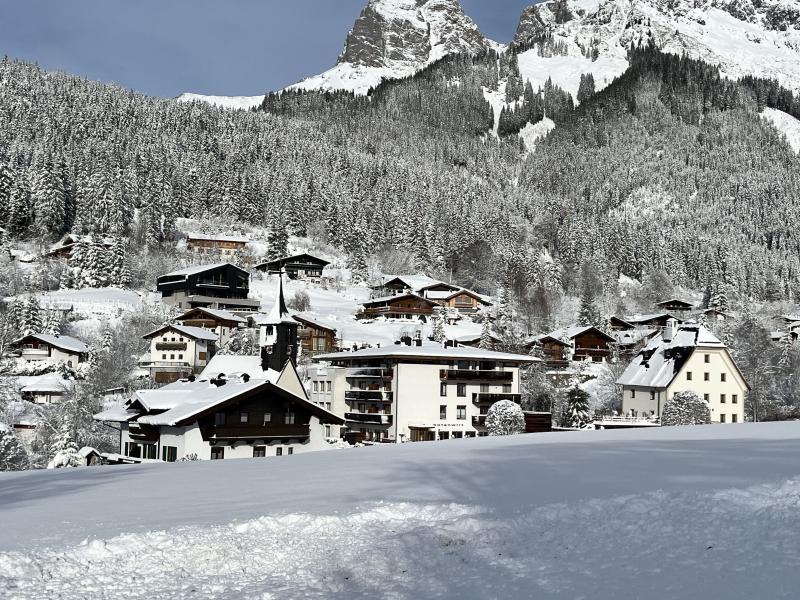 Charming apartment in village on the ski slope