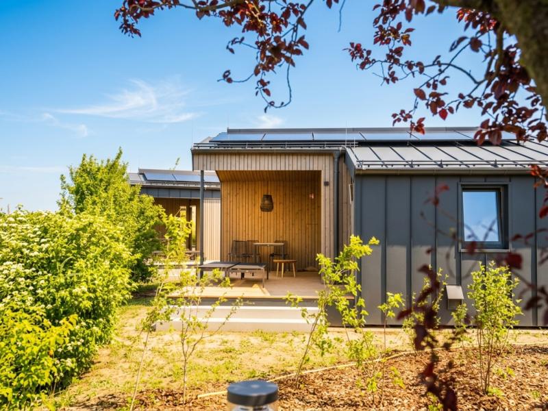 Riant guesthouse met terras in de natuur