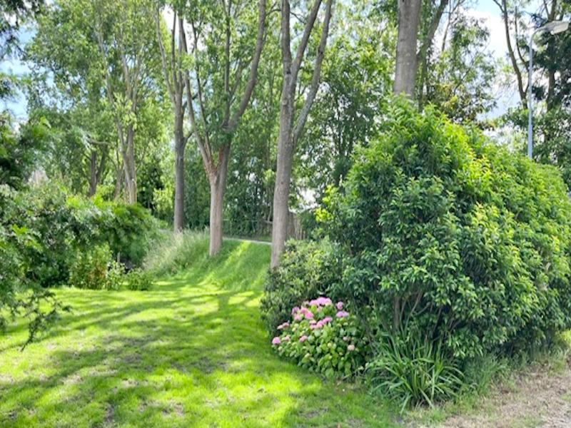 Foto 32