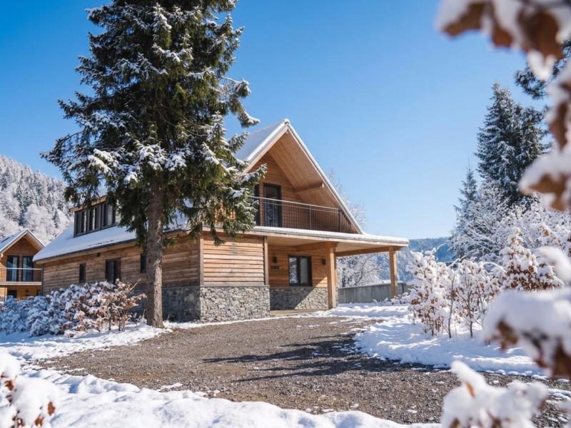 Royaal chalet met sauna aan de Afritzer See