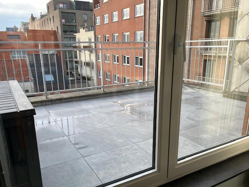 Foto 19