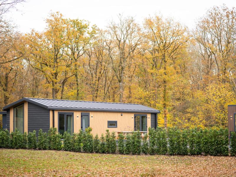 Vakantiehuis met 2 slaapkamer(s) in Zorgvlied (Nederland) voor 4 personen