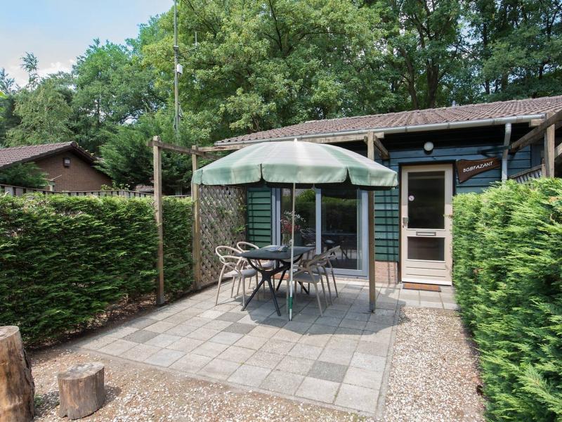 Ferienhaus in Heesch (Niederlande) und 2 Hunde erlaubt