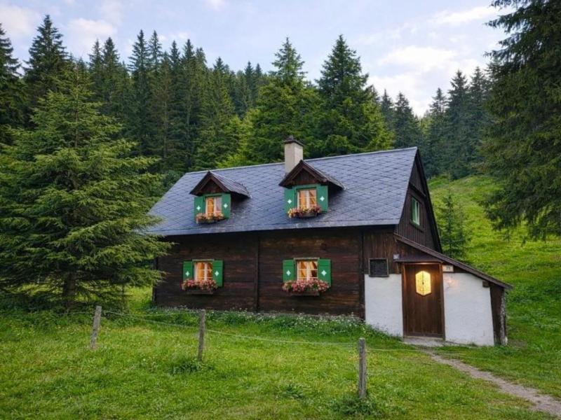 Vakantiehuis in Seewiesen (Oostenrijk) 4 honden zijn welkom