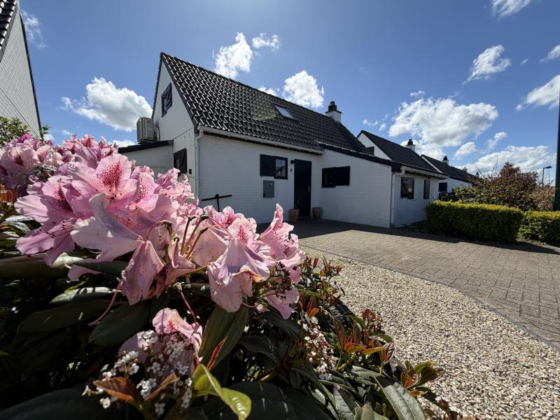 Vakantiehuis met omheinde tuin in Nieuwpoort (België) 1 hond is welkom