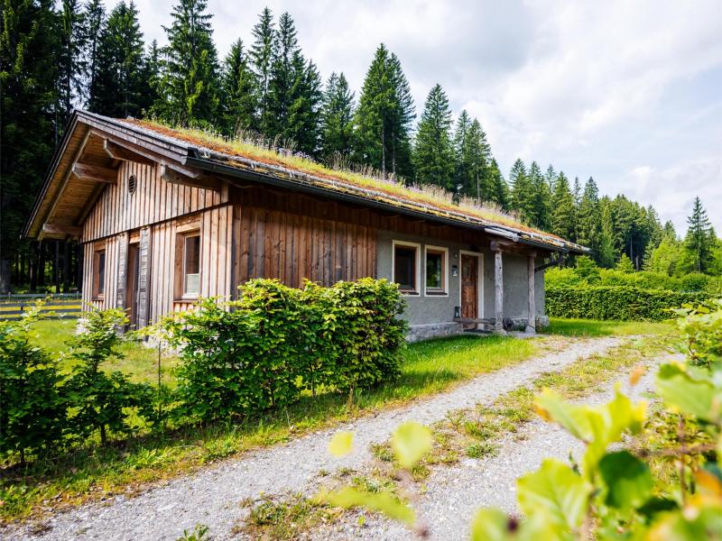 Ferienhaus mit umzäuntem Garten in Hermagor-Pressegger See (Österreich) und 2 Hunde erlaubt