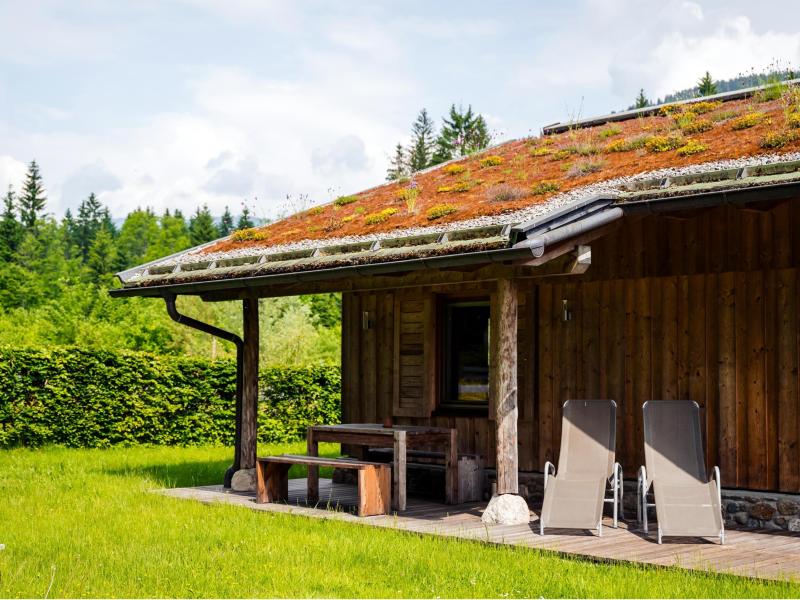 Chalet voor een ontspannende vakantie met hond