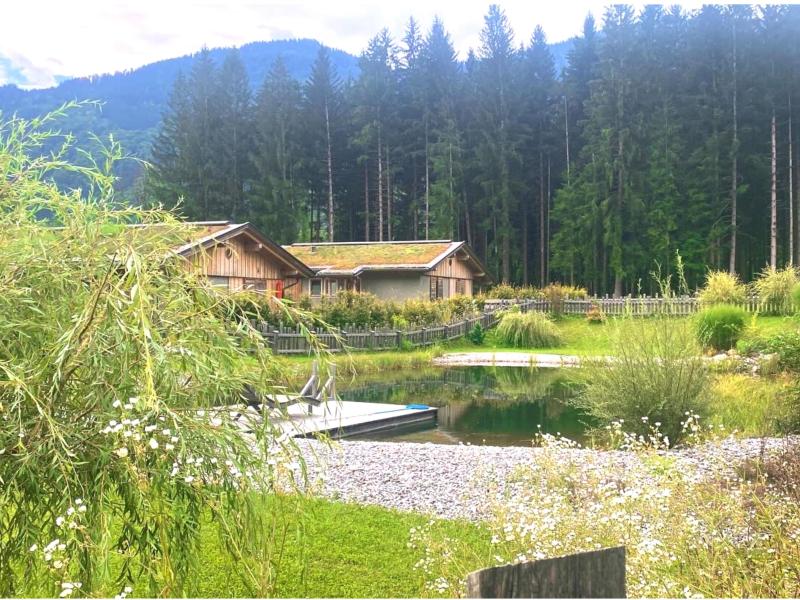 Chalet met sauna voor natuurvakantie in dorpje