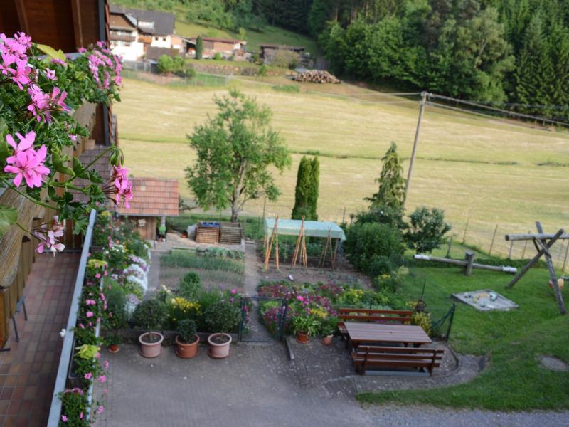 Foto 10