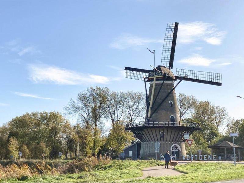 Genießen Sie den Hafen am Veerse Meer.